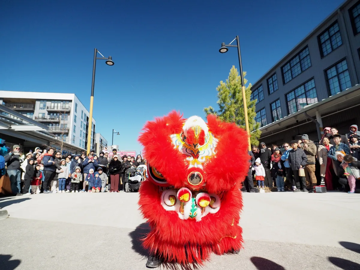 Lunar New Year photograph 15